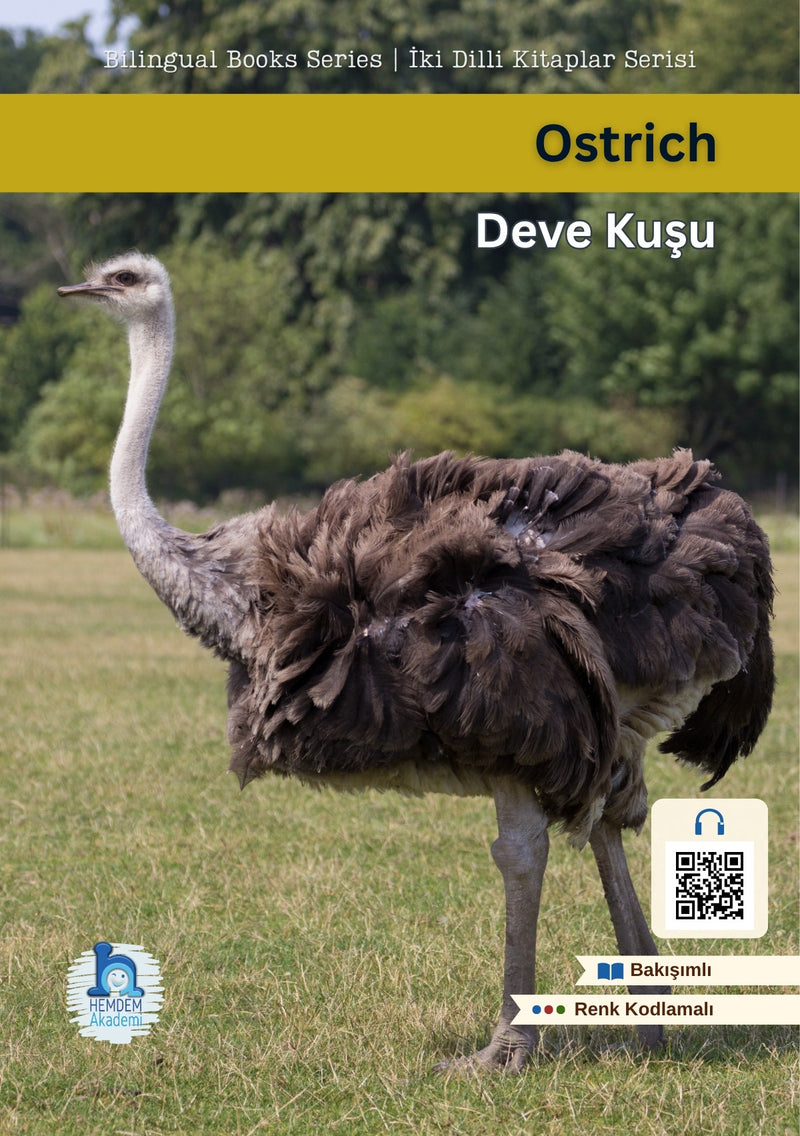 Ostrich | Deve Kuşu – ön kapak