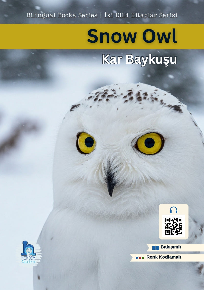 Snow Owl | Kar Baykuşu – ön kapak