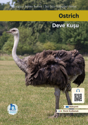 Ostrich | Deve Kuşu – ön kapak